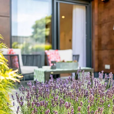 Nest 20
